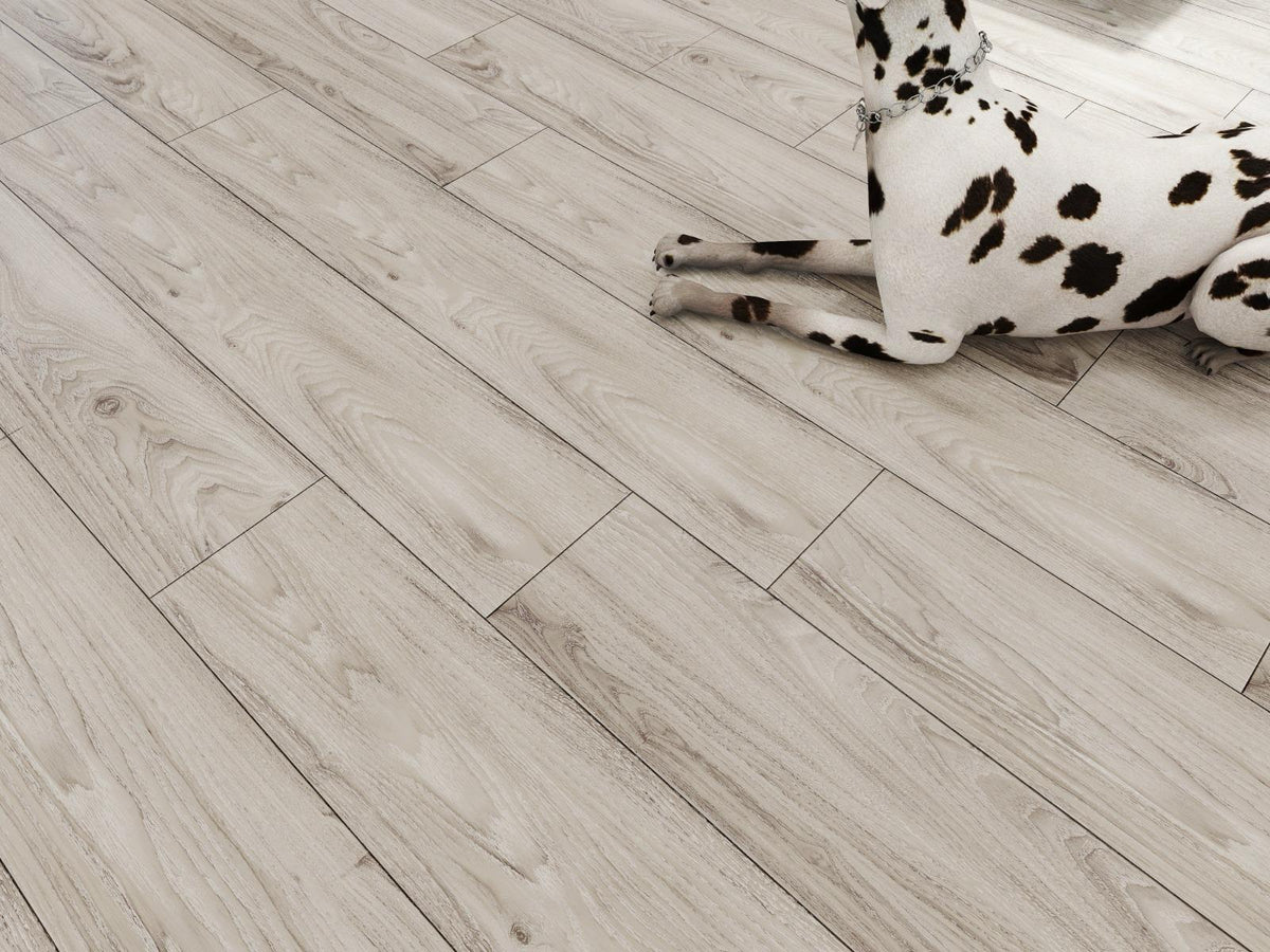 Best LVT Flooring for Dogs and Pets UK: What Should You Choose?
